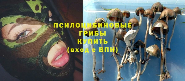 эйфоретик Костерёво